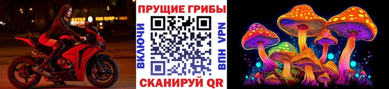 Галлюциногенные грибы мицелий Гаврилов Посад
